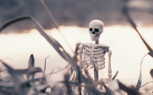 You need overwhelming productivity to survive. white and black skeleton figurine on brown grass during daytime