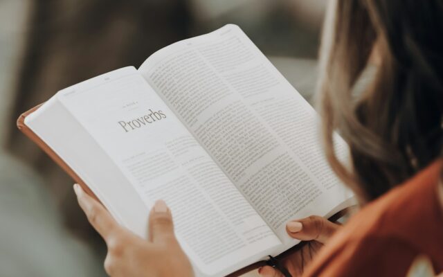 Reading and Reflection girl reading book